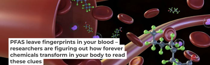 Figuring out which PFAS types are accumulating in your body is challenging. Love Employee/iStock via Getty Images Plus